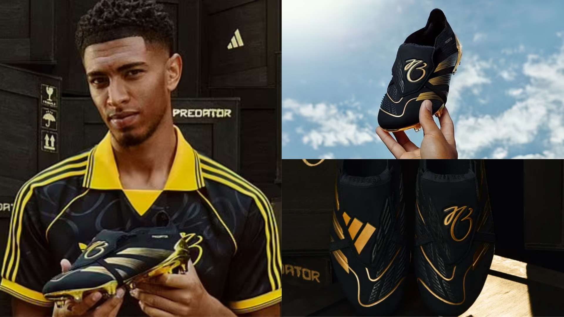 包容的全球 包容的全球